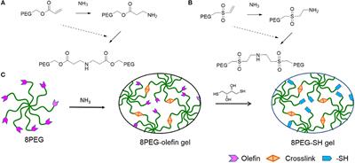 Micro-Patterning of PEG-Based Hydrogels With Gold Nanoparticles Using a Reactive Micro-Contact-Printing Approach